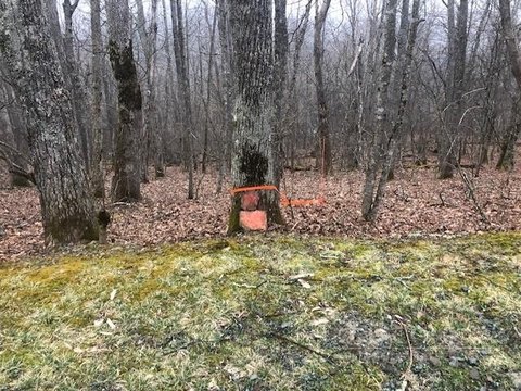 Large Boone Acreage with Views