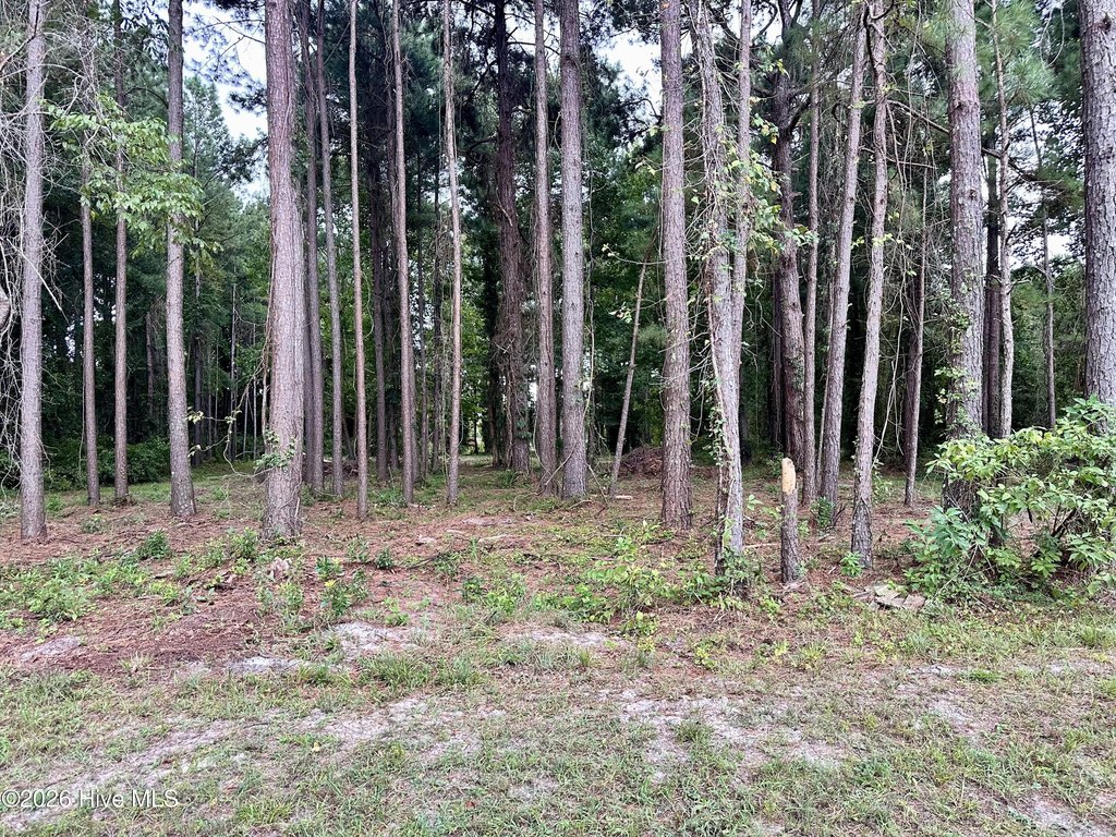 Picture 9