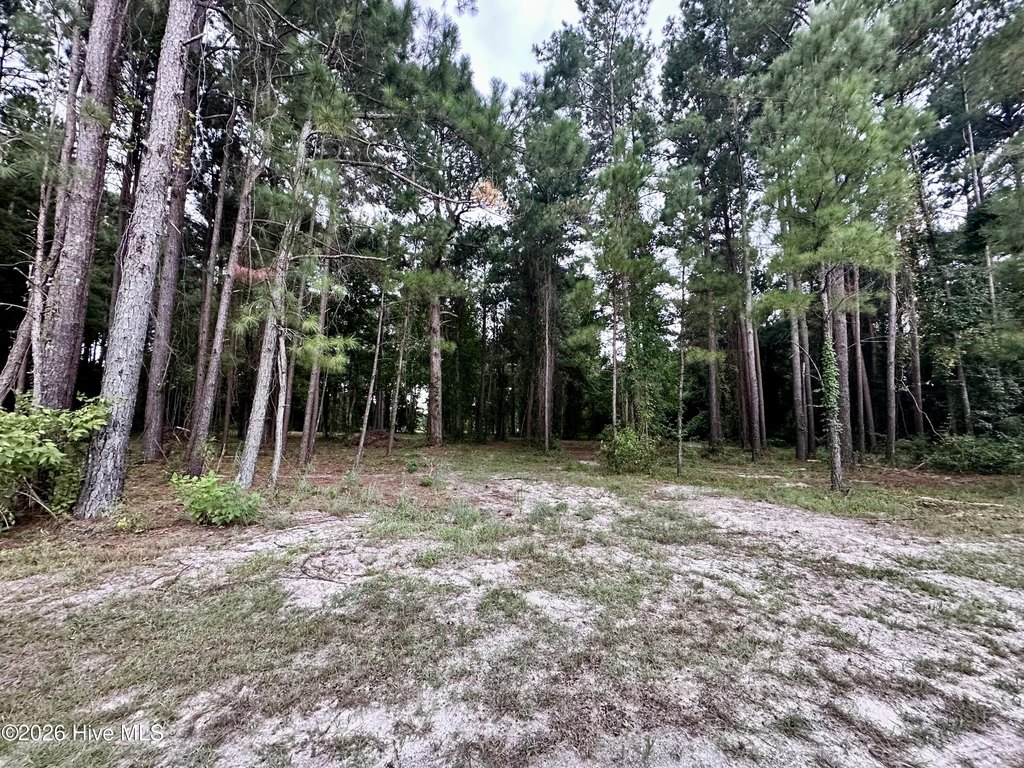 Picture 8