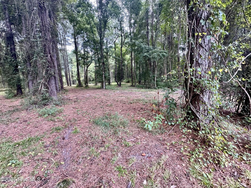 Picture 17