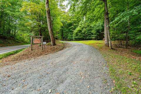 Land, Roan Mountain, TN