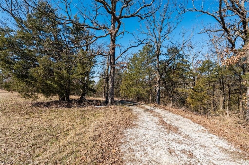 Lavaca Land: Hunting & Recreation