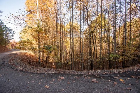 Vacant Lot in Mountain Community