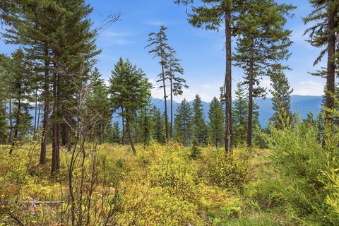 Land, Libby, MT