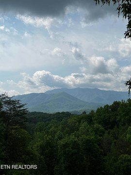 LAND - Gatlinburg, TN