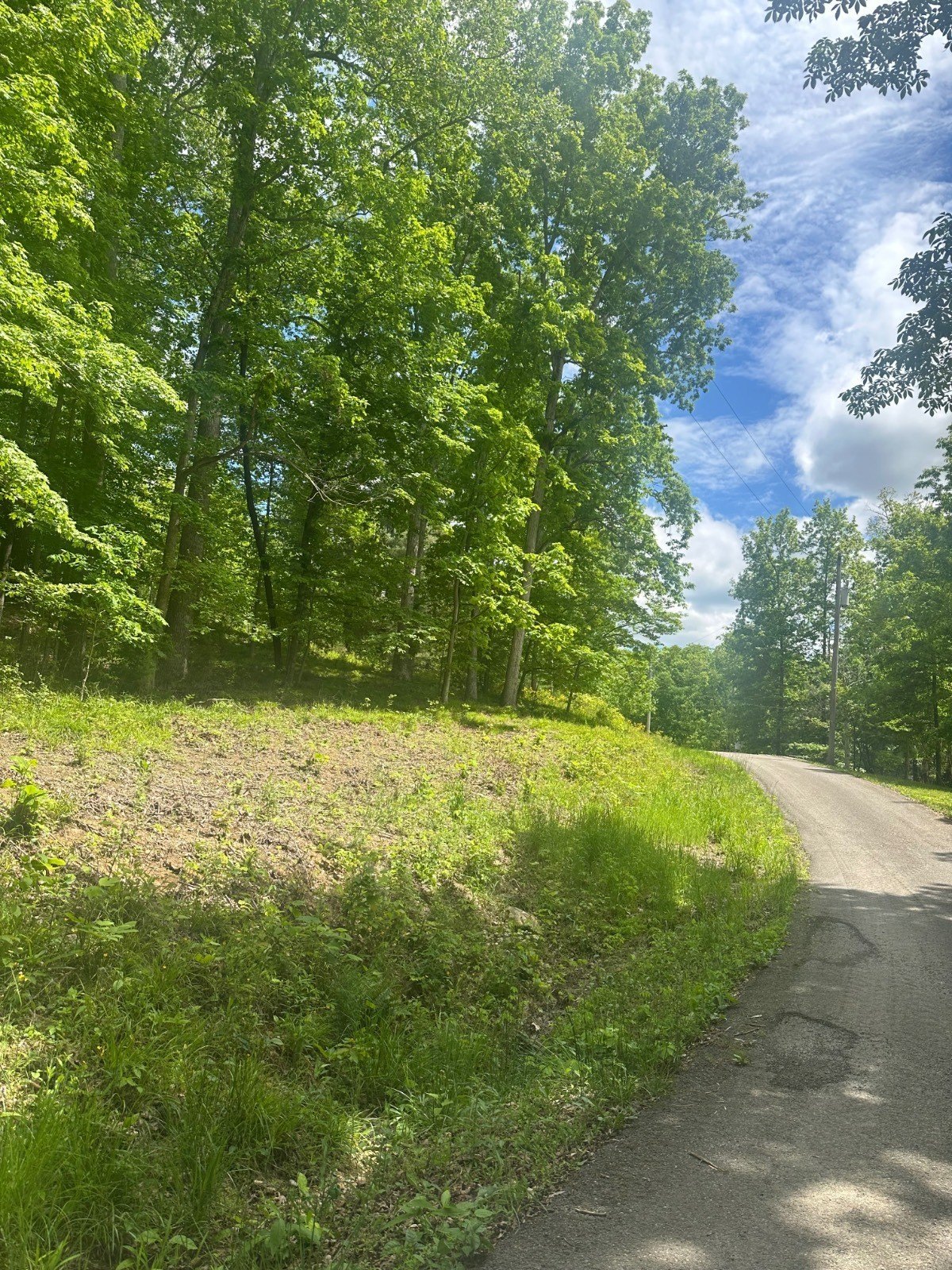 Lake View Wooded Land
