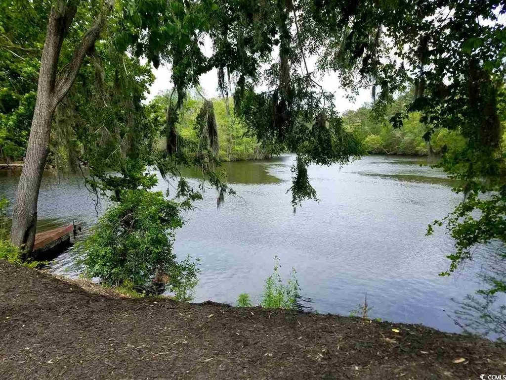 Picture 17