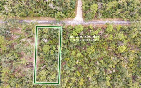 Vacant Land, Live Oak, FL