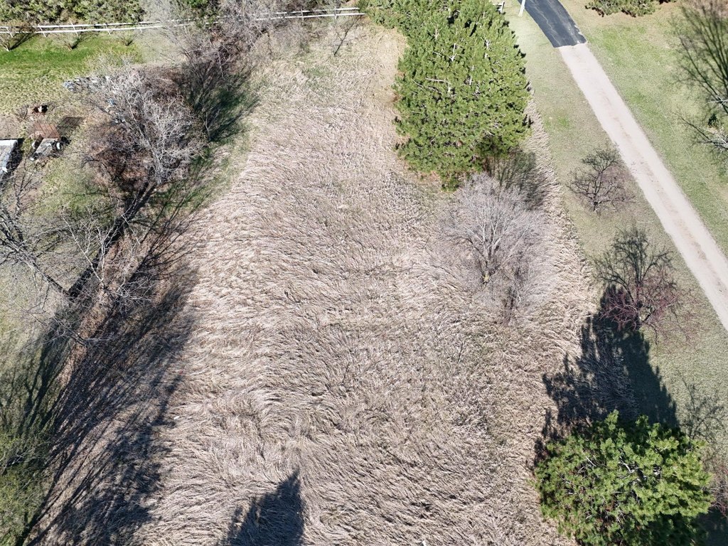 Picture 3