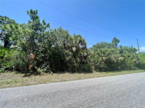 Residential Land in East Englewood