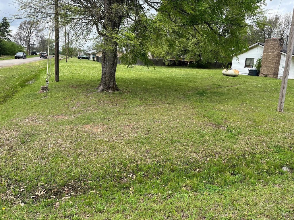 Picture 3