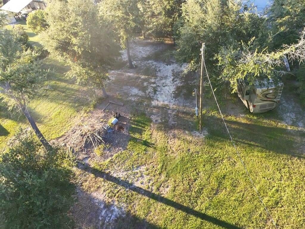 Picture 7