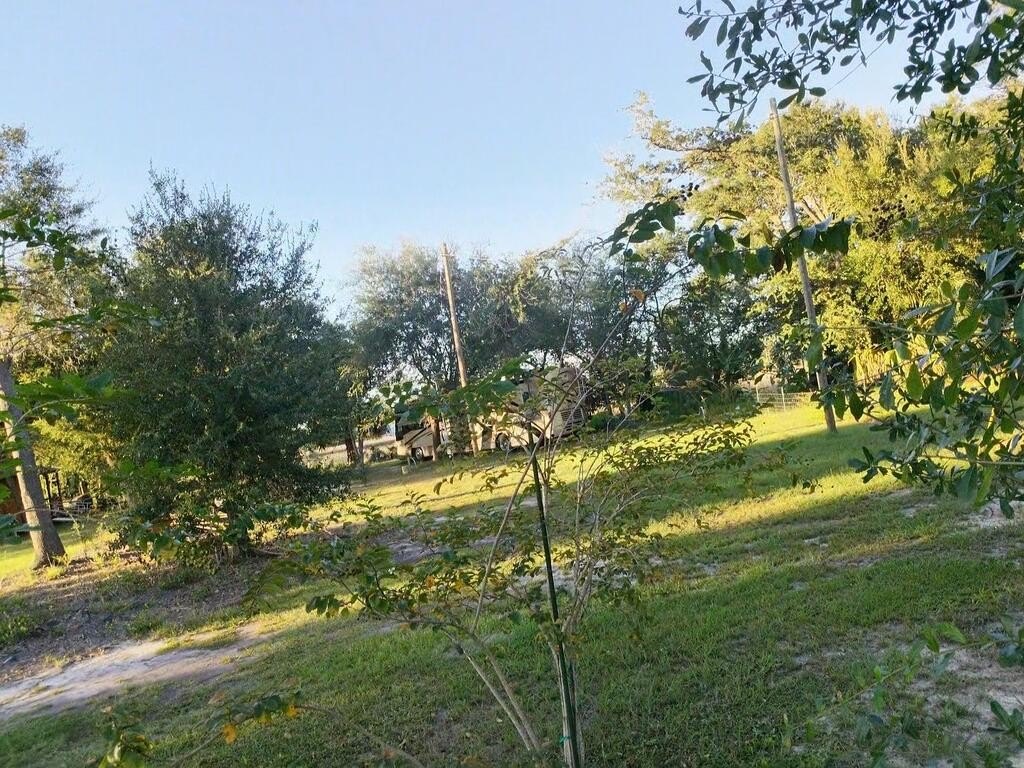 Picture 5