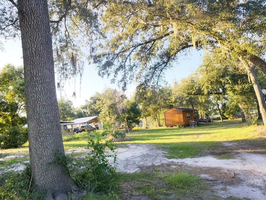 Picture 6