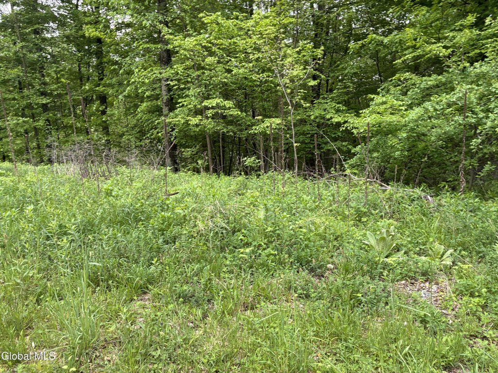 Picture 2