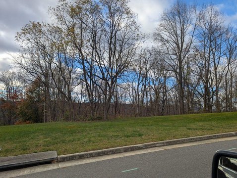 Residential Land in Vinton, VA