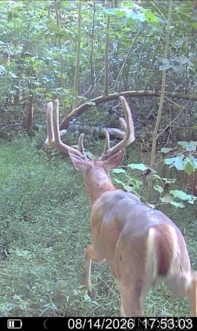 Picture 2