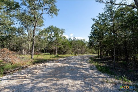 Wooded Acreage Near Austin