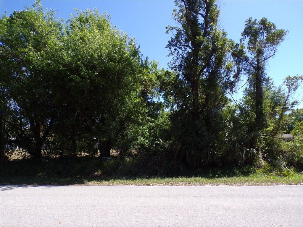 Picture 2