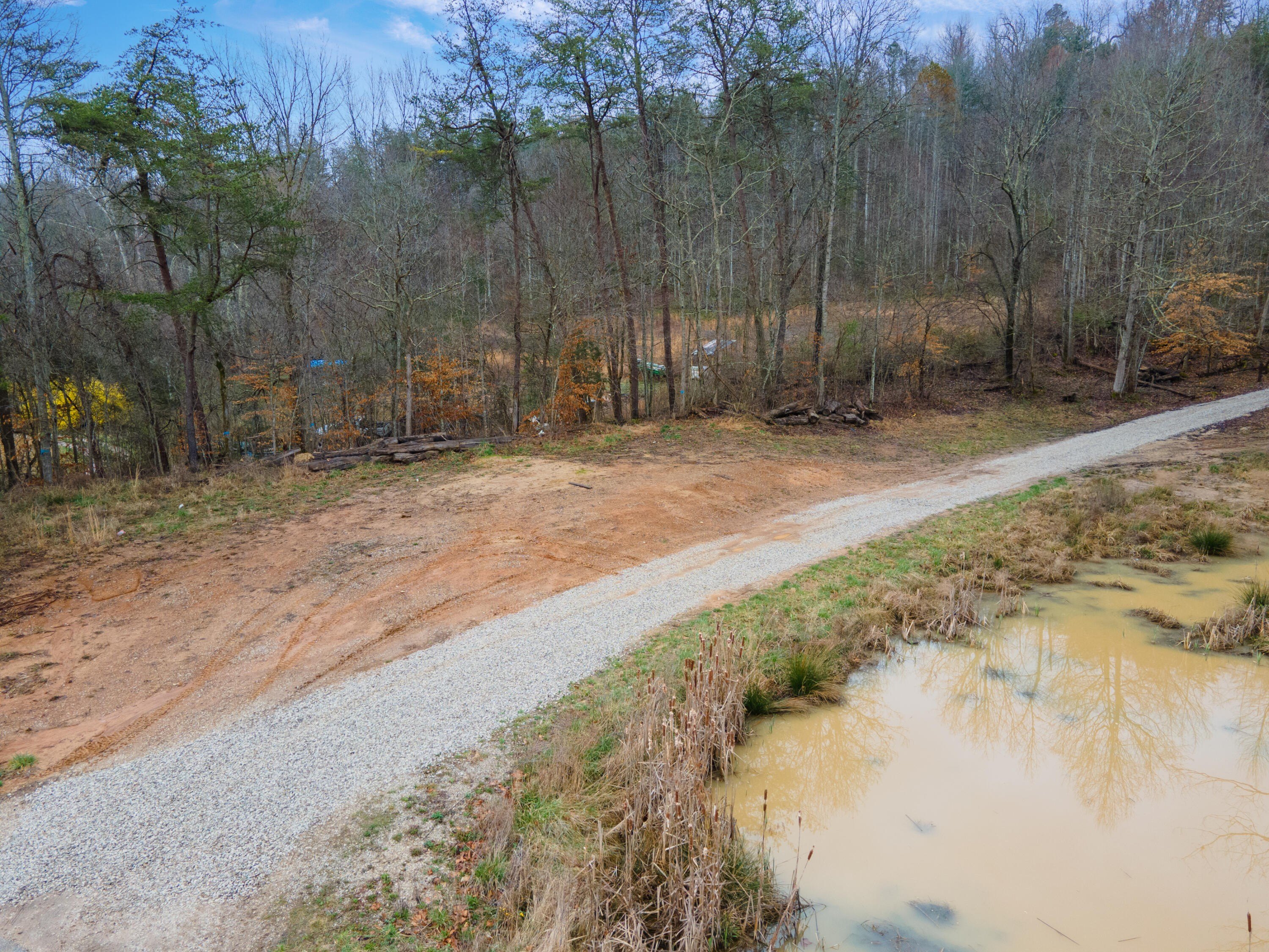 Land Near Red River Gorge