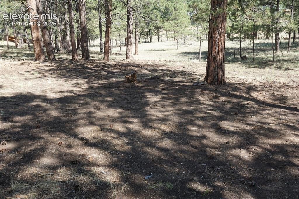 Picture 22