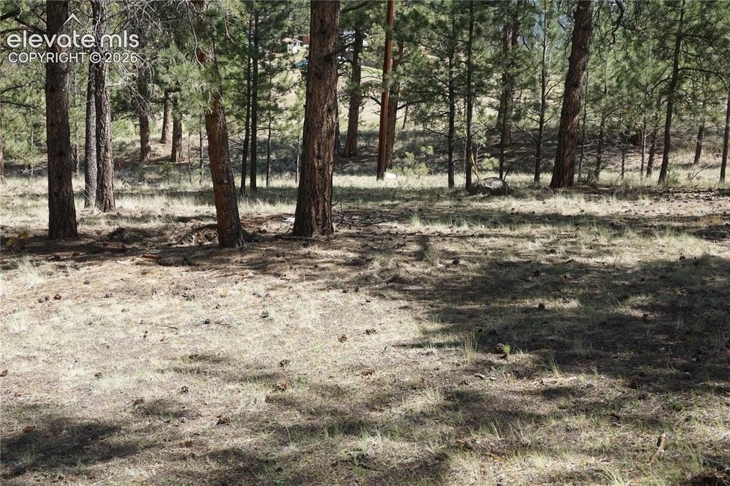 Picture 21