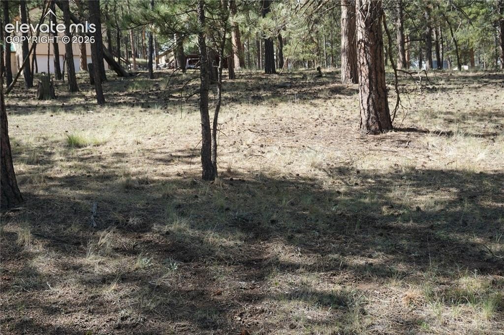 Picture 23