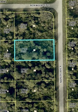 Residential Lot in Lehigh Acres