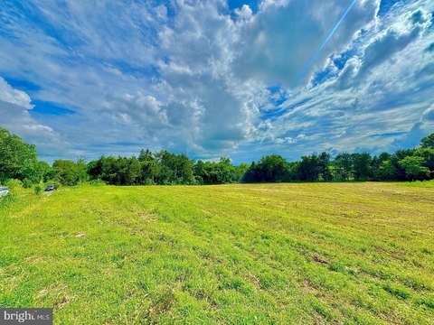 Land, UNIONVILLE, VA
