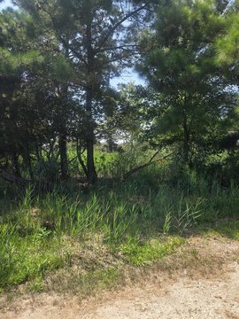 Land, CHINCOTEAGUE, VA
