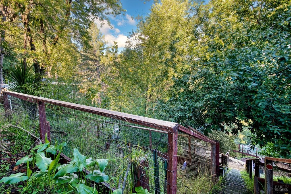 Picture 24