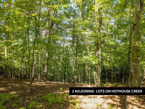 Acreage, Mineral Bluff, GA