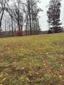 Residential Land in Spring Creek
