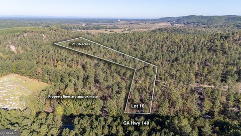 Picture of Land at Highway 140 NE 3867, Rydal, GA