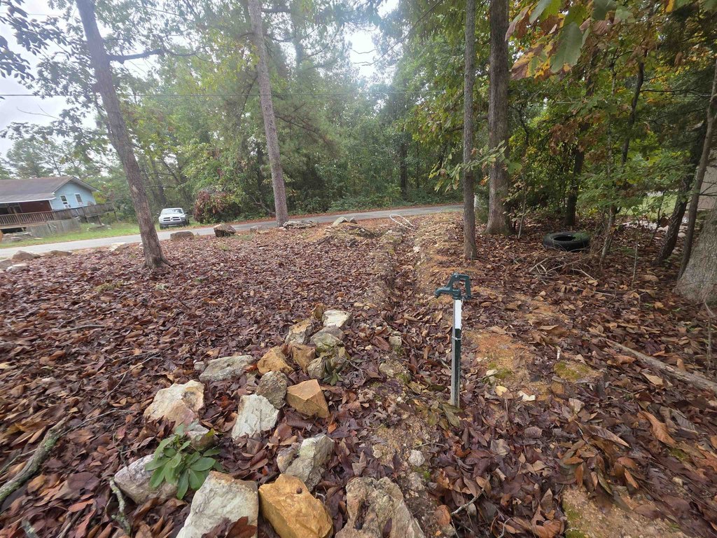 Picture 9