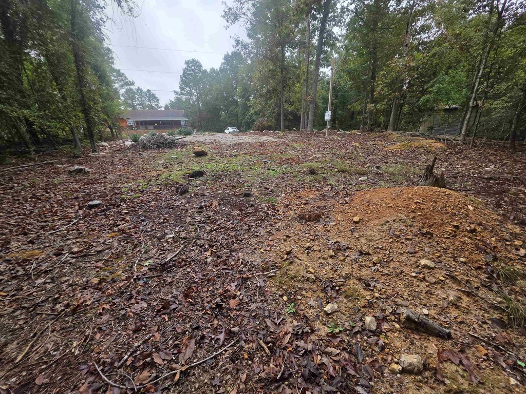 Picture 17