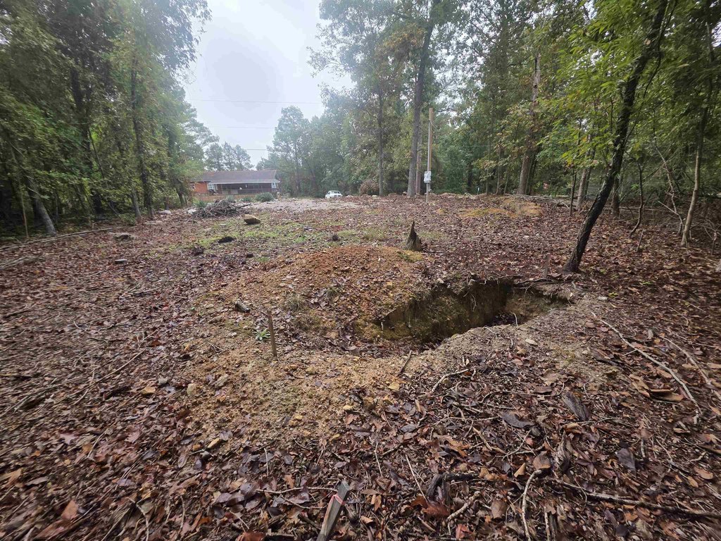 Picture 15