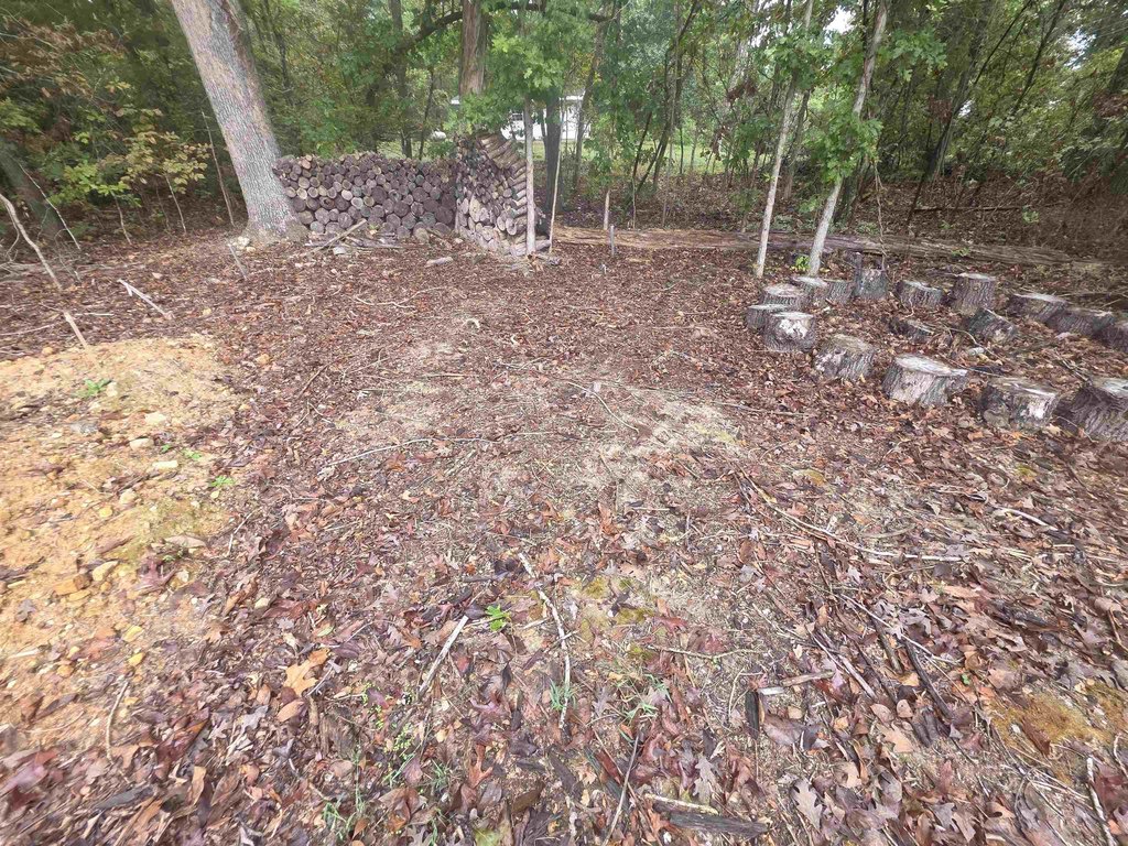 Picture 14