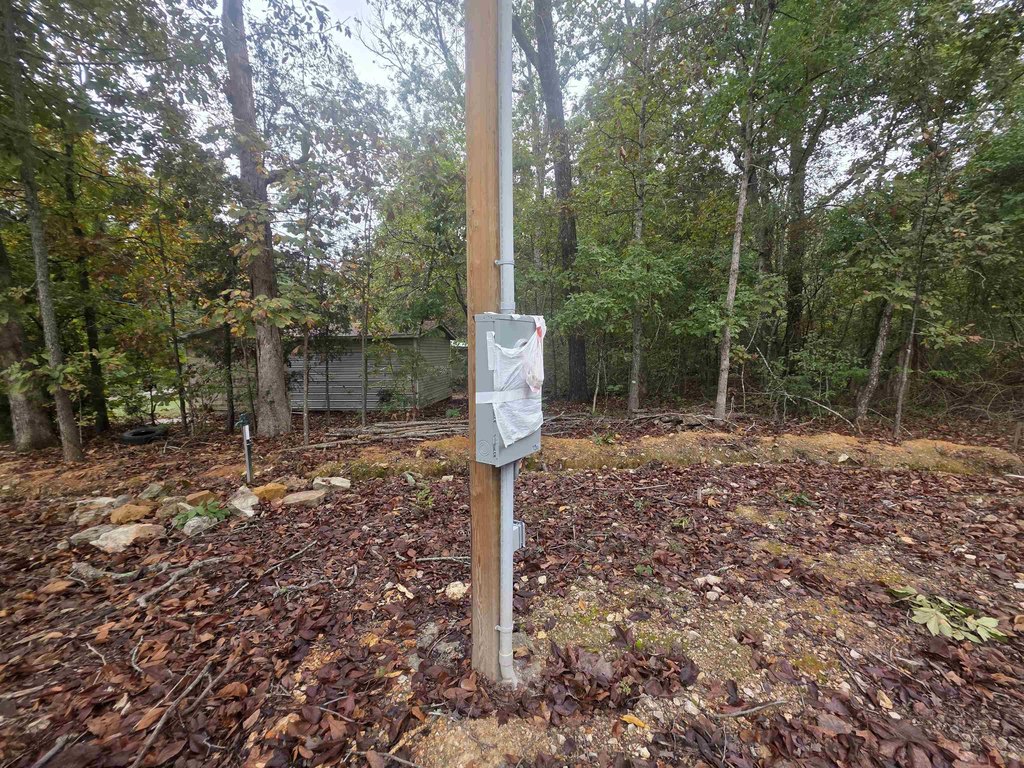 Picture 6