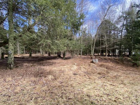 Pocono Lake Land for Home