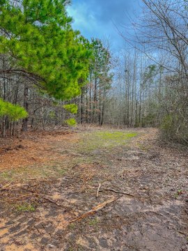 Recreational Hunting Land with Creeks