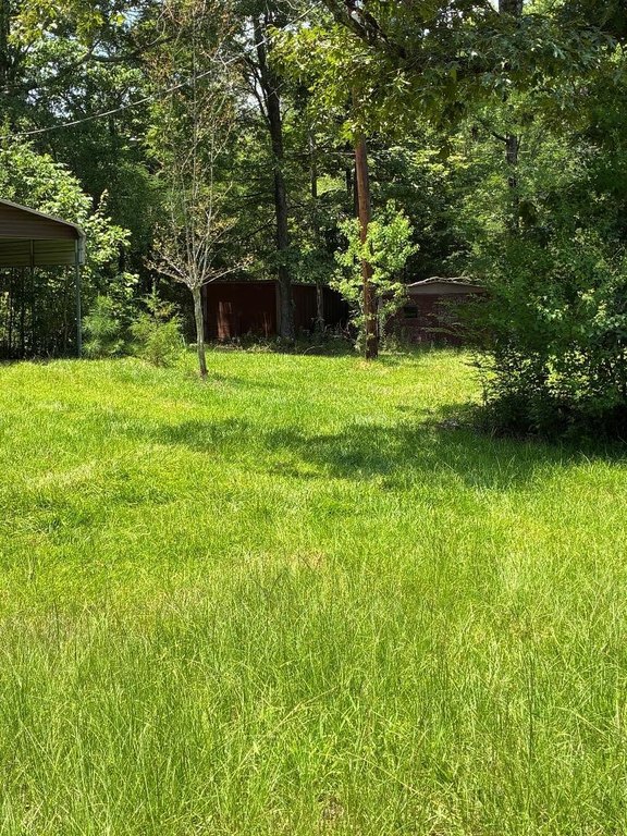 Picture 2
