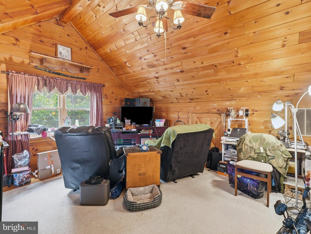 Picture 33
