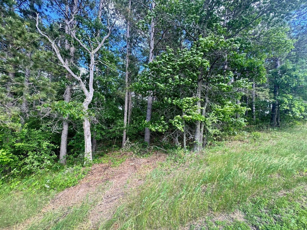 Picture 3