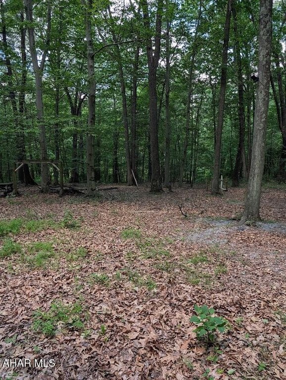 Picture 22