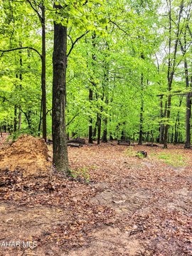 Secluded Land Near Raystown Lake