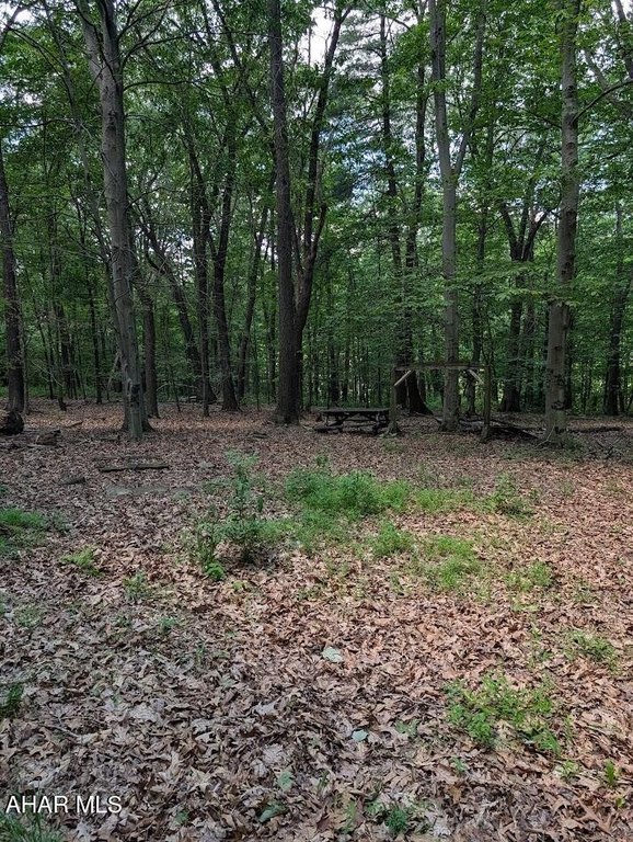 Picture 21