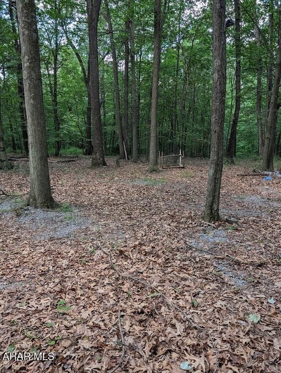 Picture 24