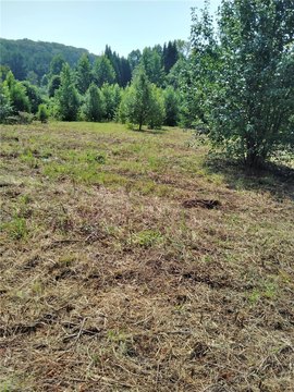LAND - Easley, SC