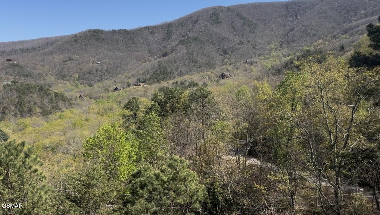 Sevierville, TN Land Opportunity